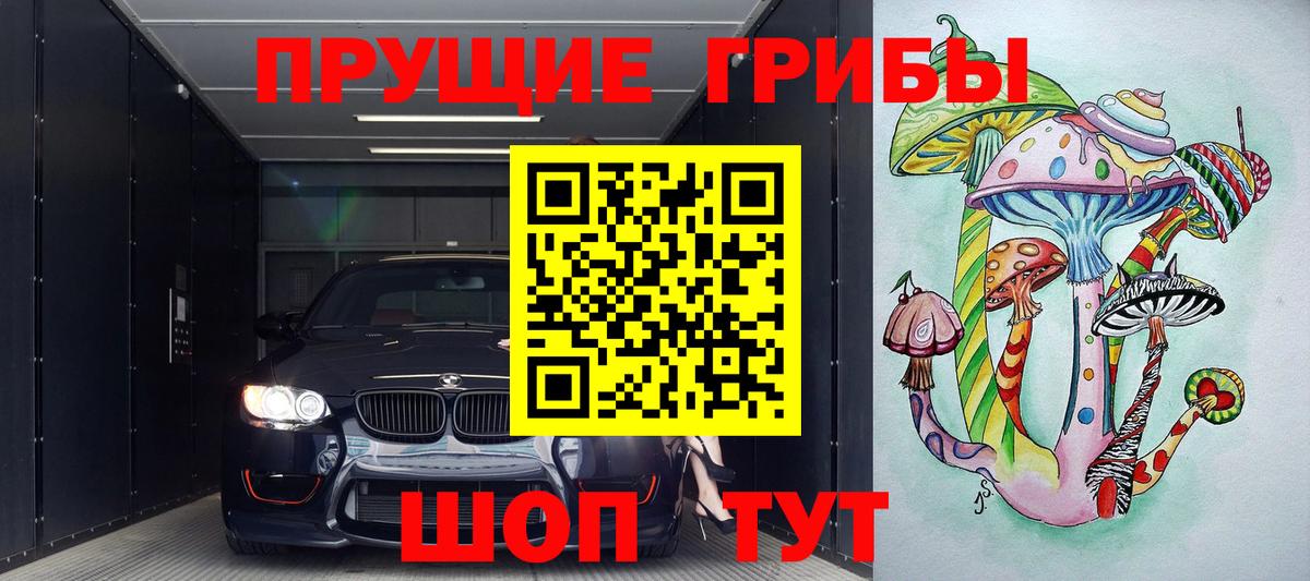 Псилоцибиновые грибы GOLDEN TEACHER  Вход с VPN  Ленинск-Кузнецкий 
